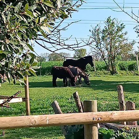 Hotel Domaine De Karoli Barneville-sur-Seine Zewnętrze zdjęcie